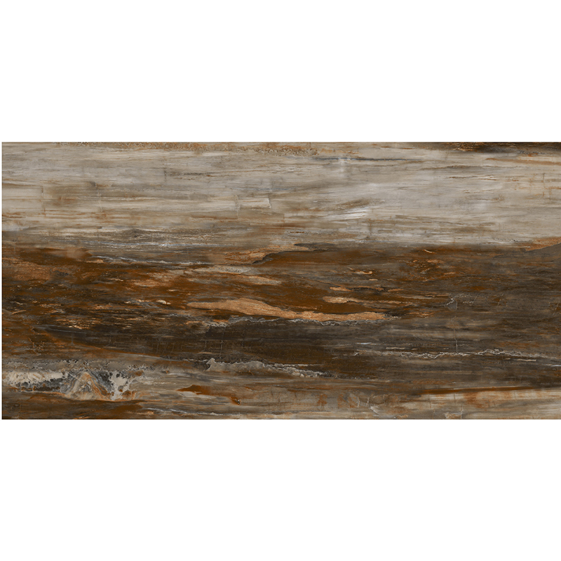 SW7515092L木 化 石 深